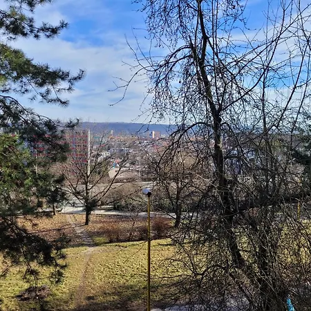 Next To Steel Arena *