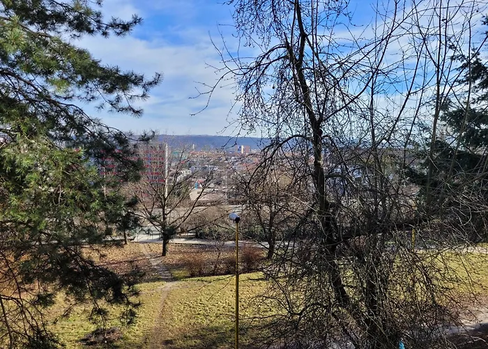 Next To Steel Arena *